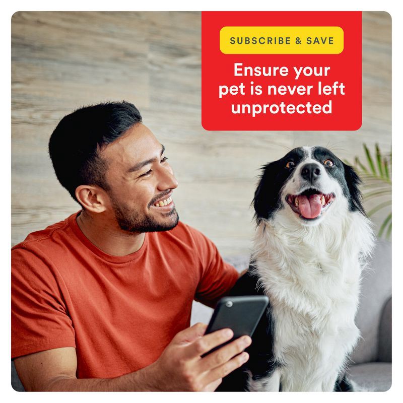 slide 9 of 9, Advecta Pet Insect Flea Drops Treatment for Dogs - XL - Over 55lbs - 4ct, 55 lb, 4 ct