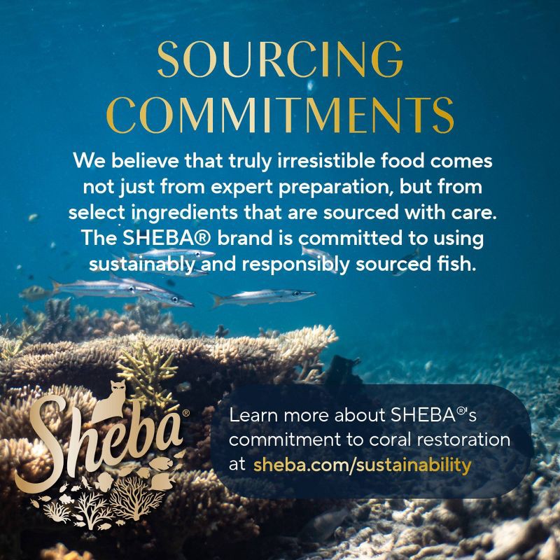 slide 12 of 13, Sheba Perfect Portions Cuts in Gravy Chicken and Turkey Flavor Variety Pack Wet Cat Food - 2.64oz/12ct, 2.64 oz, 12 ct