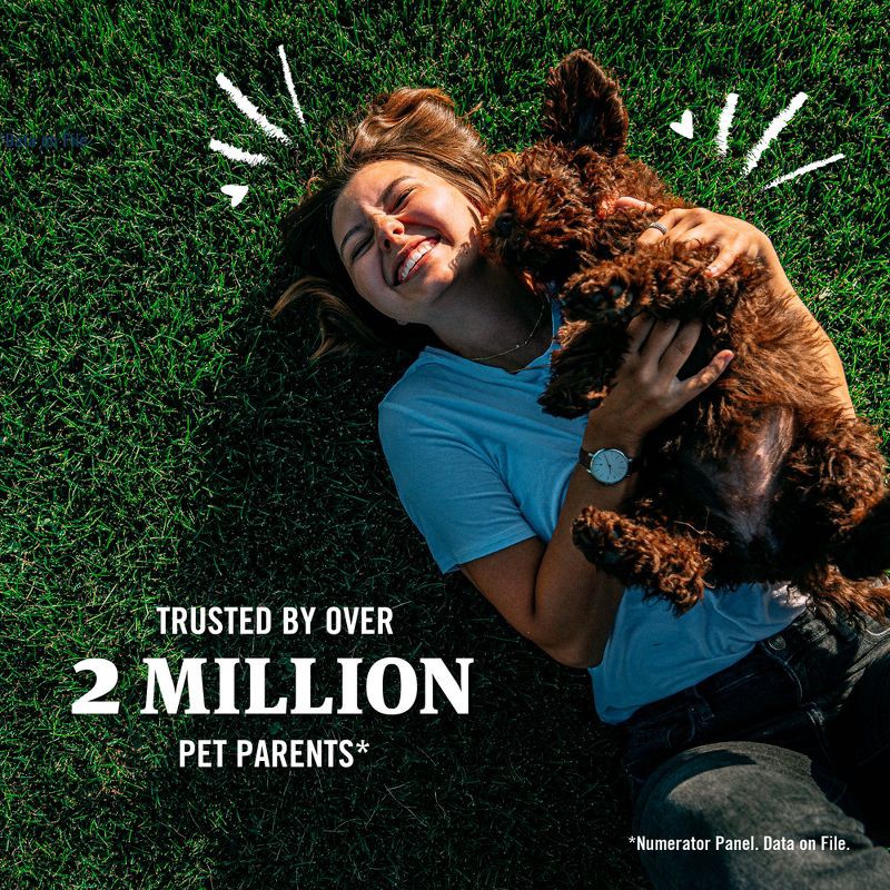 slide 8 of 16, PetArmor Plus Flea and Tick Topical Treatment for Dogs - 45-88lbs - 6 Month Supply, 45 ct; 88 lb