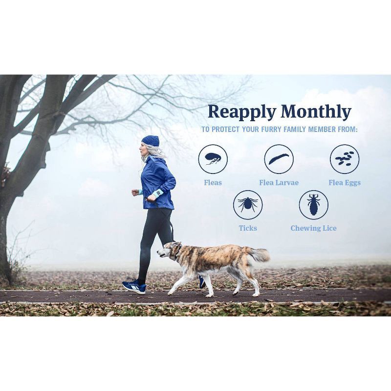 slide 14 of 16, PetArmor Plus Flea and Tick Topical Treatment for Dogs - 89-132lbs - 6 Month Supply, 89 ct; 132 lb