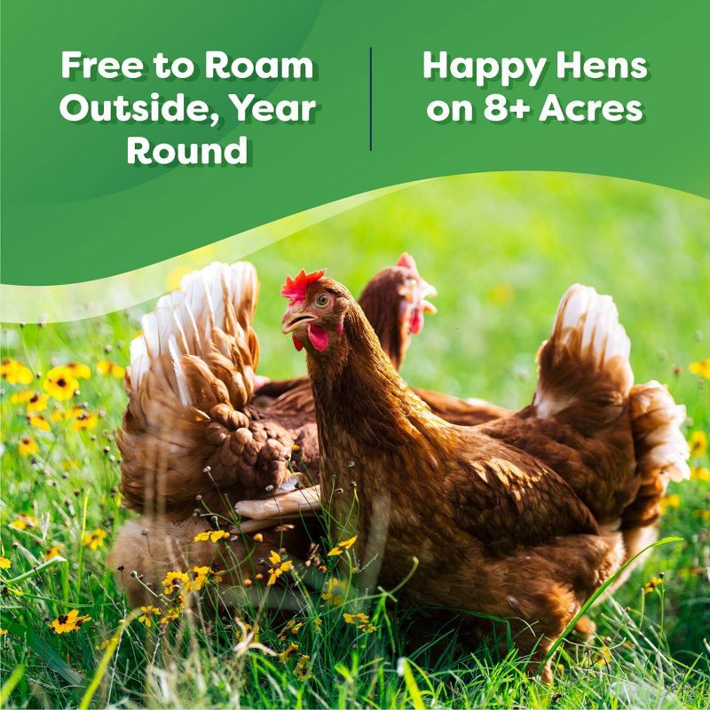 slide 3 of 6, The Happy Egg Co. Happy Egg Large Brown Organic Free Range Grade A Eggs - 12ct, 12 ct