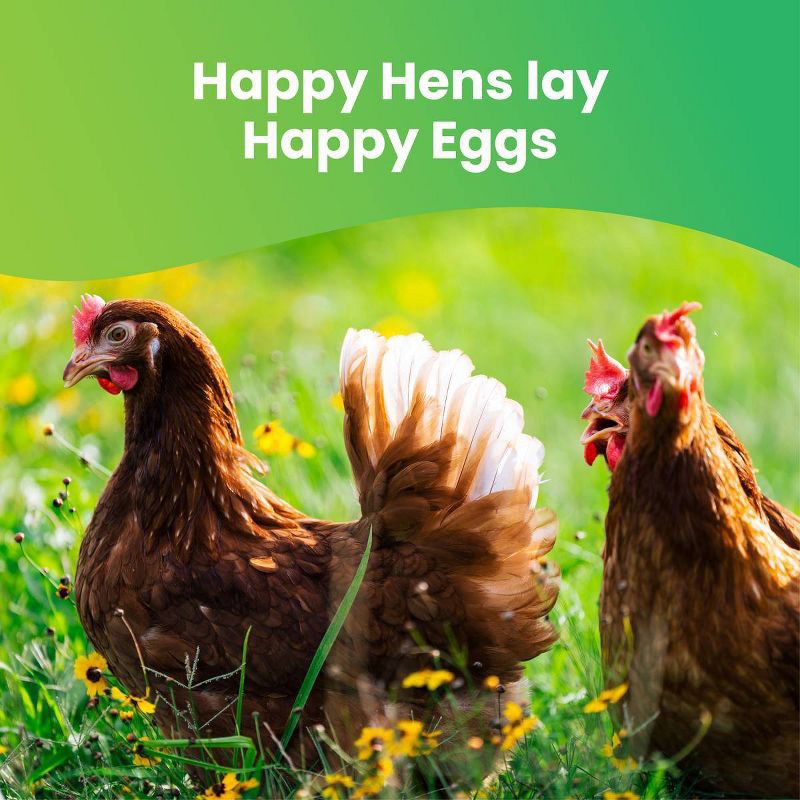 slide 4 of 7, The Happy Egg Co. Happy Egg Large Brown Organic Free Range Grade A Eggs - 12ct, 12 ct