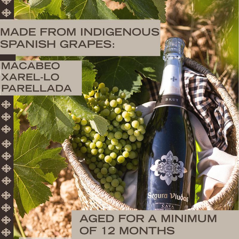 slide 2 of 5, Segura Viudas Brut Cava Sparkling White Wine - 750ml Bottle, 750 ml