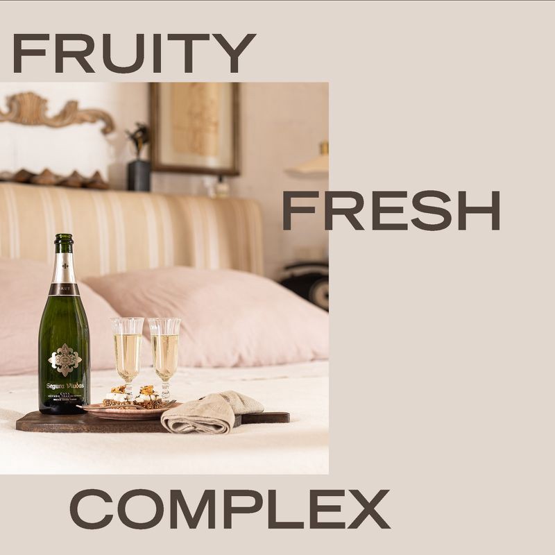 slide 3 of 5, Segura Viudas Brut Cava Sparkling White Wine - 750ml Bottle, 750 ml