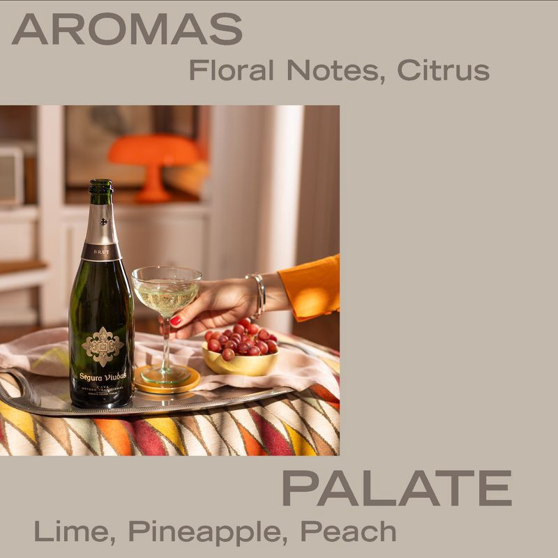 slide 5 of 5, Segura Viudas Brut Cava Sparkling White Wine - 750ml Bottle, 750 ml