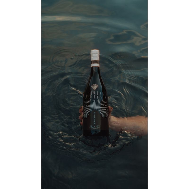 slide 2 of 7, Elouan Pinot Noir Red Wine - 750ml Bottle, 750 ml