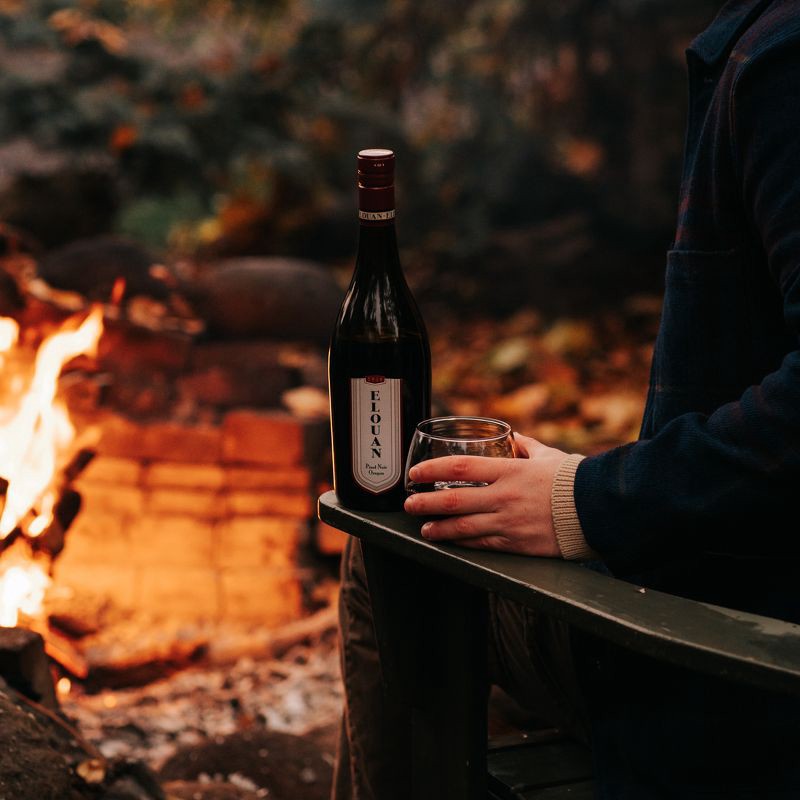 slide 6 of 7, Elouan Pinot Noir Red Wine - 750ml Bottle, 750 ml