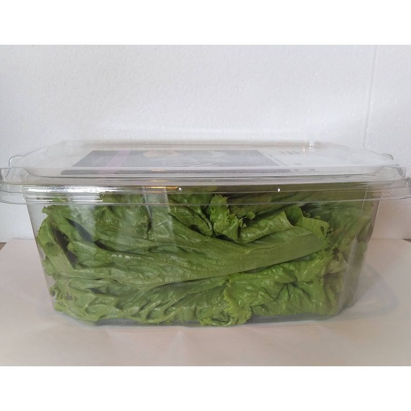 slide 3 of 4, Washed & Trimmed Green Leaf Lettuce - 7oz, 7 oz