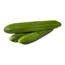 Fresh Seedless Cucumbers