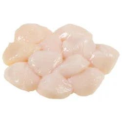 Fresh Sea Scallops