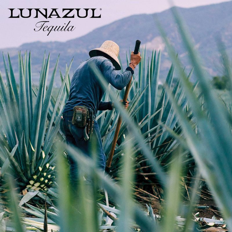 slide 5 of 12, Lunazul Blanco Tequila - 750ml Bottle, 750 ml