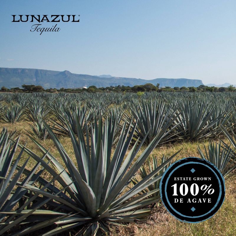 slide 6 of 11, Lunazul Blanco Tequila - 750ml Bottle, 750 ml