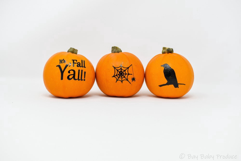 slide 2 of 2, Silhouette Painted Mini Round Pumpkin - Ea, 1 ct