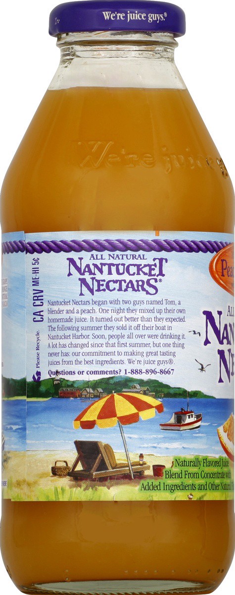 slide 4 of 4, Nantucket Nectars Peach Orange - 16 fl oz, 16 fl oz