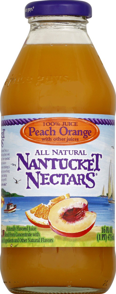 slide 2 of 4, Nantucket Nectars Peach Orange - 16 fl oz, 16 fl oz