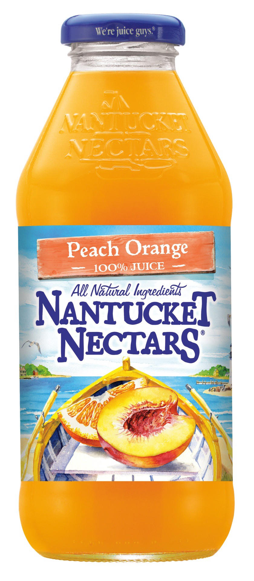 slide 1 of 4, Nantucket Nectars Peach Orange - 16 fl oz, 16 fl oz