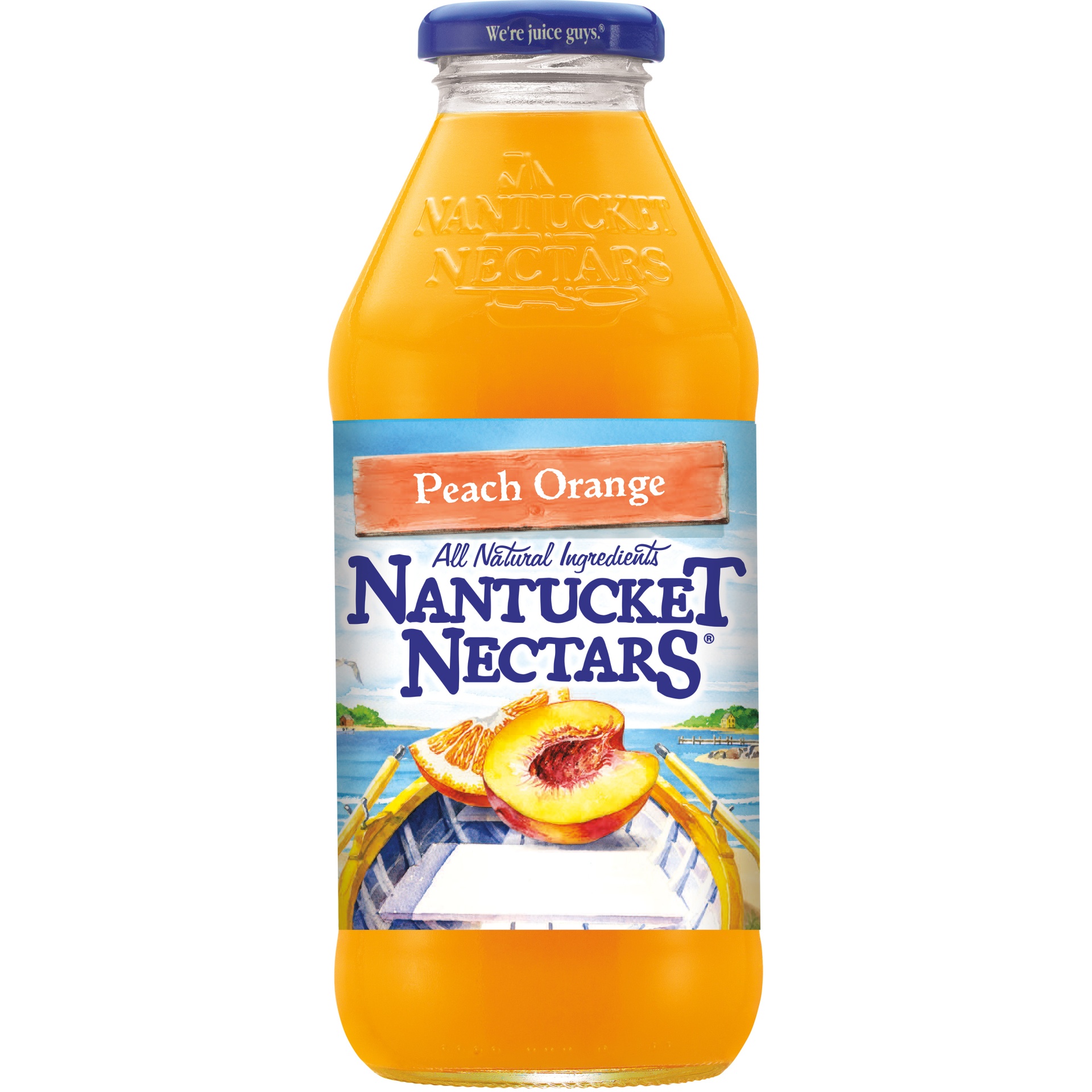 slide 1 of 1, Nantucket Nectars Peach Orange, 16 fl oz