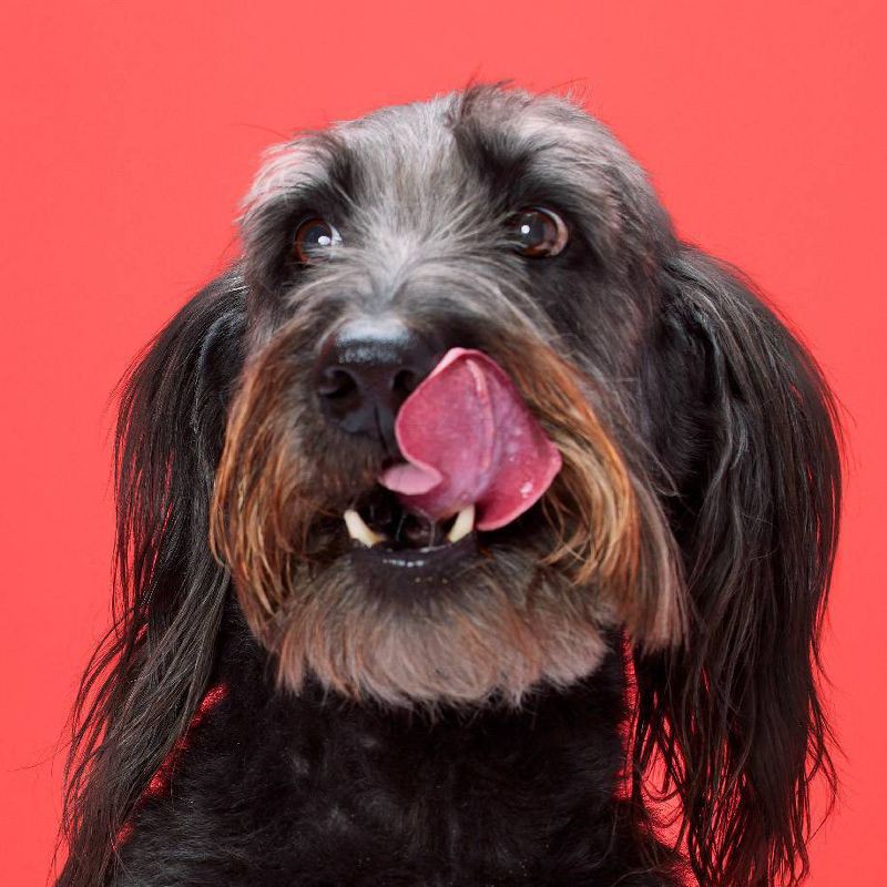 slide 3 of 12, DreamBone Twist Sticks with Chicken and Vegetable Flavor Dog Treats - 9.7oz/50ct, 9.7 oz, 50 ct