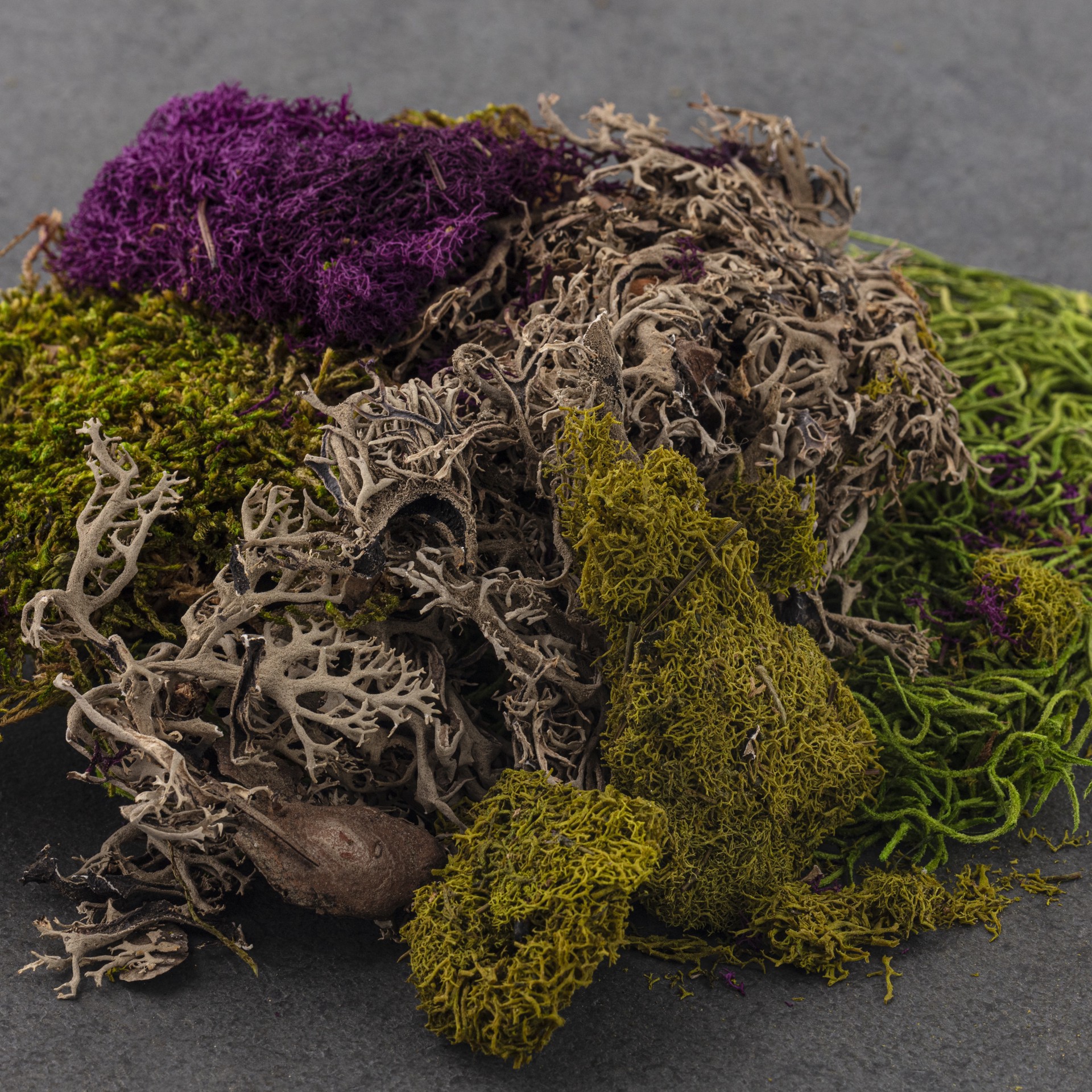 slide 6 of 6, Supermoss Purple & Green Preserved Mixed Moss, 2 oz