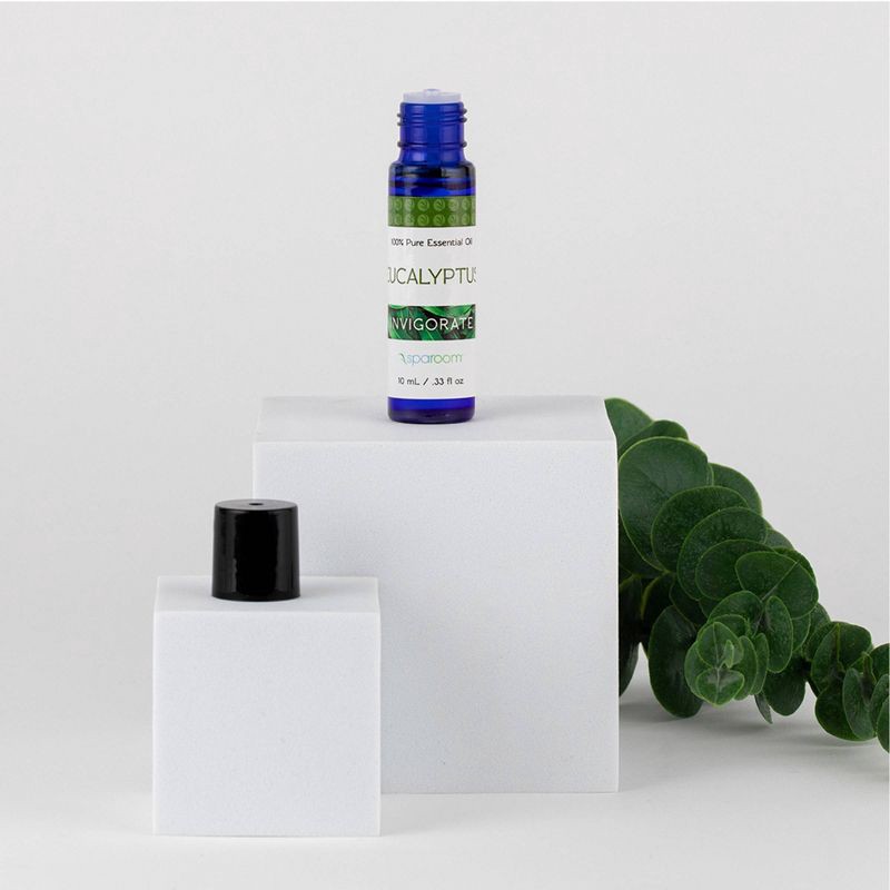 slide 3 of 4, Eucalyptus Essential Oil 10ml - SpaRoom: Plant-Based Aromatherapy, Pure Oil for Diffusers, Wellness Support, 10 ml