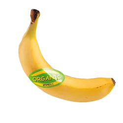 Fresh Organic Chiquita Bananas