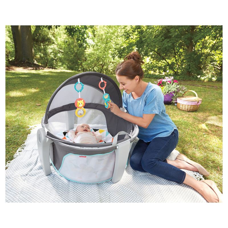 slide 10 of 13, Fisher-Price On-the-Go Baby Dome - Windmill, 1 ct