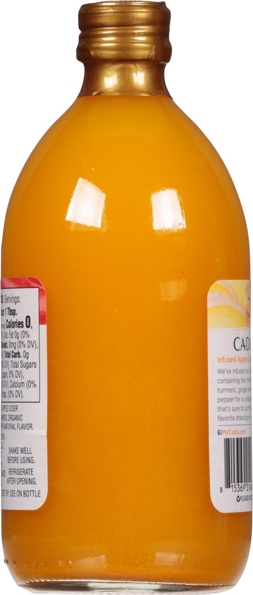 slide 5 of 14, Cadia Raw Unfiltered Organic Spicy Turmeric & Ginger Apple Cider Vinegar 16.9 fl oz, 16.9 fl oz