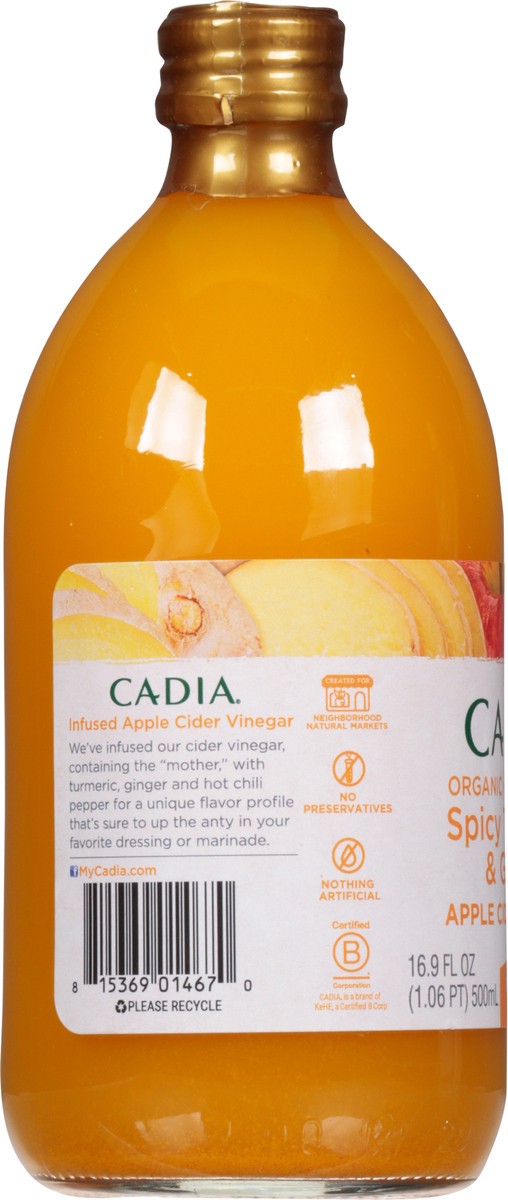 slide 6 of 14, Cadia Raw Unfiltered Organic Spicy Turmeric & Ginger Apple Cider Vinegar 16.9 fl oz, 16.9 fl oz