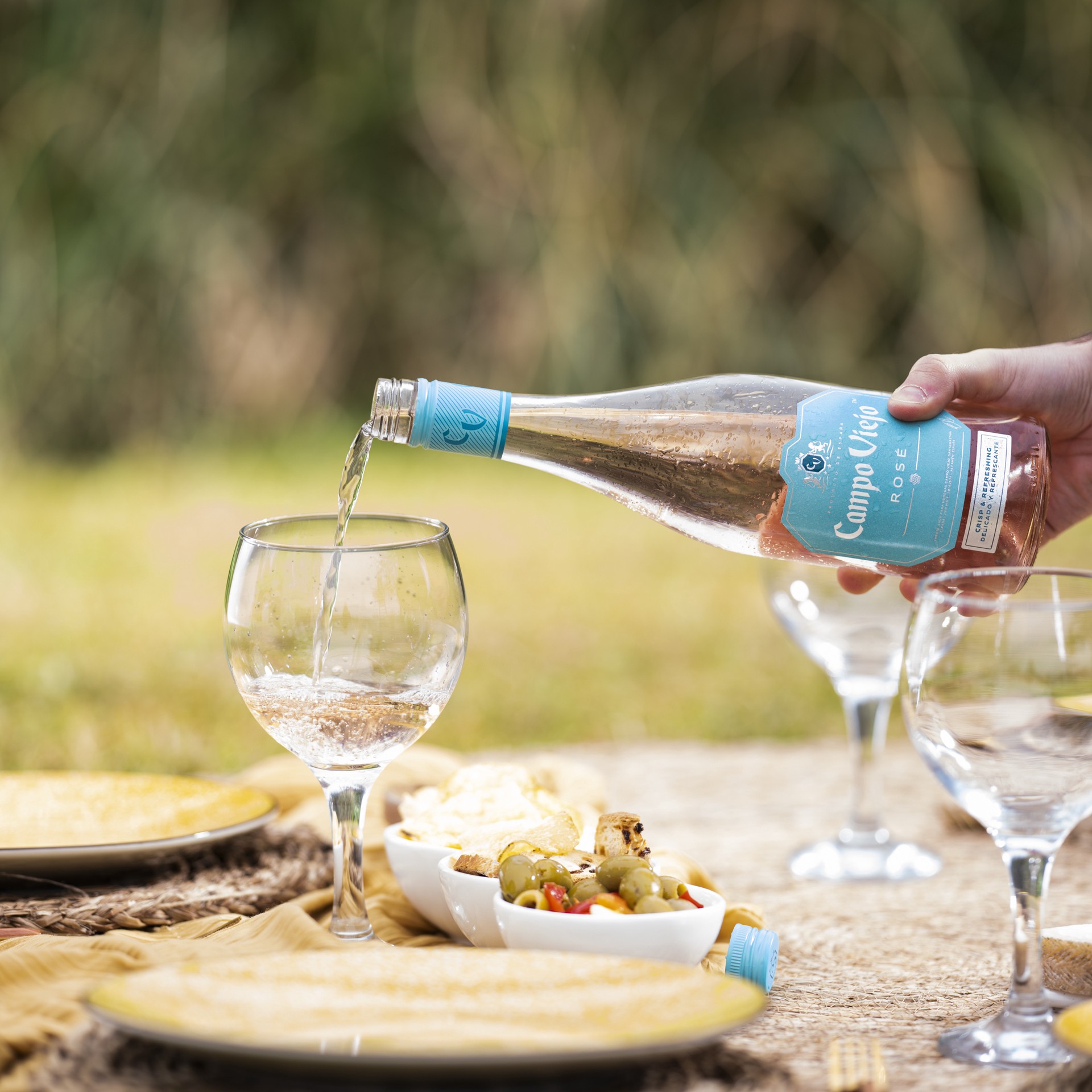 slide 5 of 5, Campo Viejo Rose Wine, 750 mL Bottle, 13.5% ABV, 750 ml