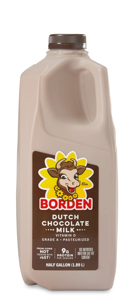 slide 1 of 1, Borden Grade A Pasteurized Creamy Rich Dutch Chocolate Milk, 12 gal