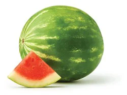 Watermelons Seedless