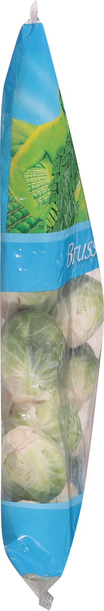 slide 5 of 13, Eat Smart Brussels Sprouts, 2 lb
