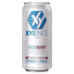 XYIENCE Frost Berry Blast Energy Drink, 16 fl oz can