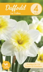 Charlie's Produce Garden State Bulb Ice Follies Daffodil Bulbs