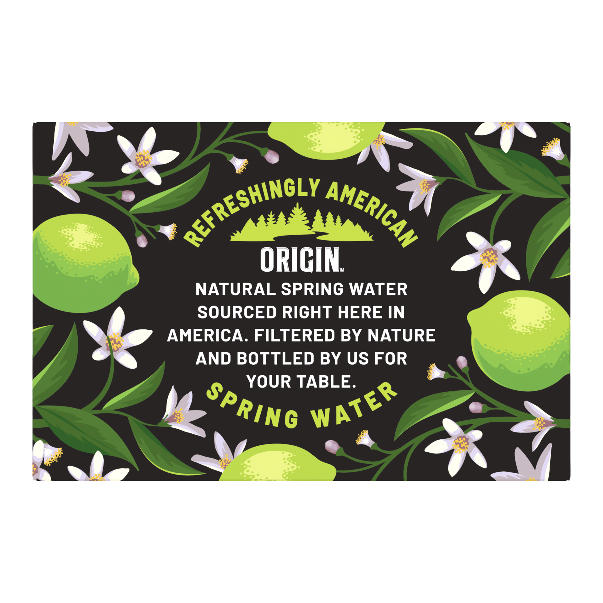 slide 4 of 5, ORIGIN Organic & Non-GMO Lime Flavor Sparkling Water, 12 Fl Oz, Recyclable Aluminum Cans (6 Count), 12 oz