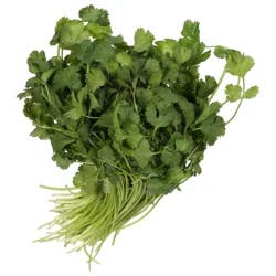 Organic Cilantro Bunch