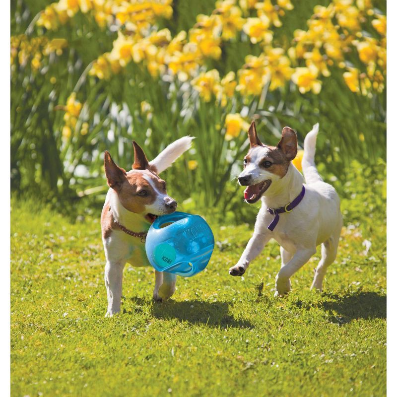 slide 3 of 3, KONG 2-in-1 Jumbler Interactive Dog Toy - Blue - M/L, 1 ct