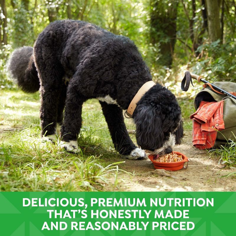 slide 7 of 7, Nature's Recipe Grain Free Chicken & Duck Wet Dog Food in Wholesome Broth - 2.75oz, 2.75 oz