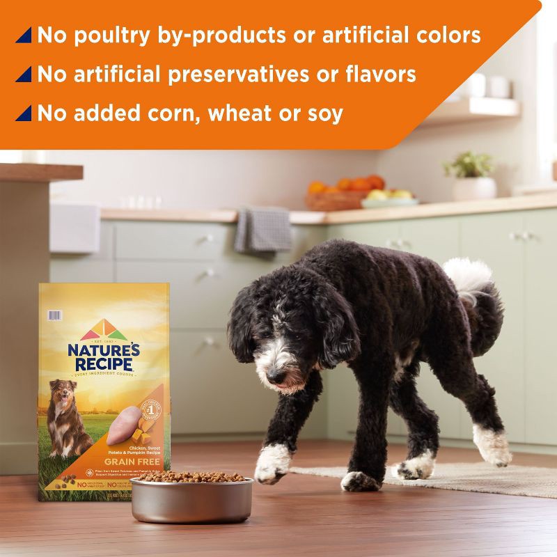 slide 3 of 9, Nature's Recipe Grain Free Chicken, Sweet Potato & Pumpkin Recipe Adult Dry Dog Food - 24lbs, 24 lb