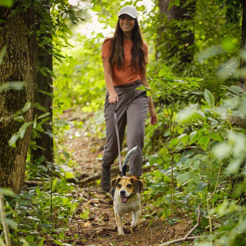 slide 4 of 6, Nature's Recipe Grain Free Chicken, Sweet Potato & Pumpkin Recipe Small Breed Adult Dry Dog Food - 12lbs, 12 lb