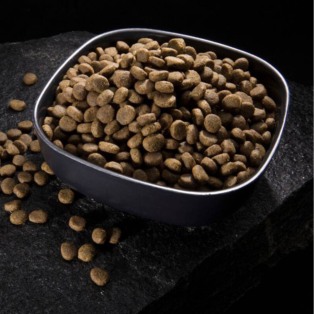 slide 3 of 4, Crave Grain Free High Protein with Protein from Lamb and Venison Adult Premium Dry Dog Food - 4lbs, 4 lb