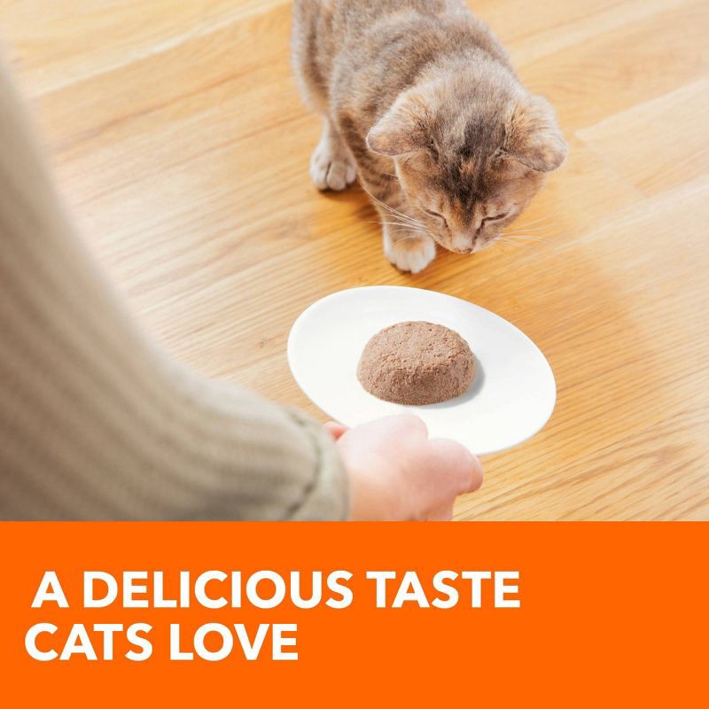 slide 8 of 11, IAMS Perfect Portions Grain Free Paté Premium Wet Cat Food Chicken Recipe Healthy Kitten - 2.6oz, 2.6 oz