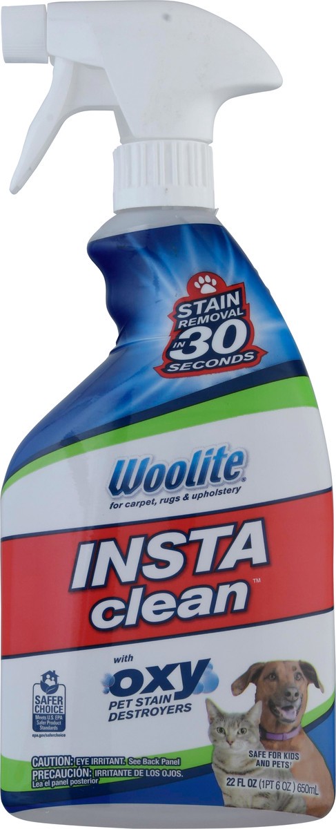 slide 10 of 11, Woolite InstaClean Stain Remover 22 fl oz, 22 fl oz