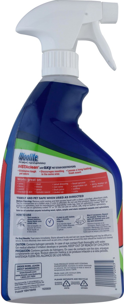 slide 6 of 11, Woolite InstaClean Stain Remover 22 fl oz, 22 fl oz