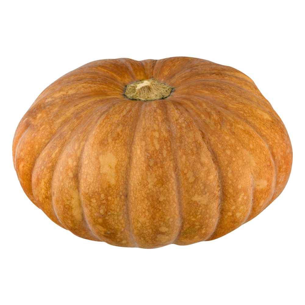 slide 1 of 1, Pumpkin/calabaza, 1 ct