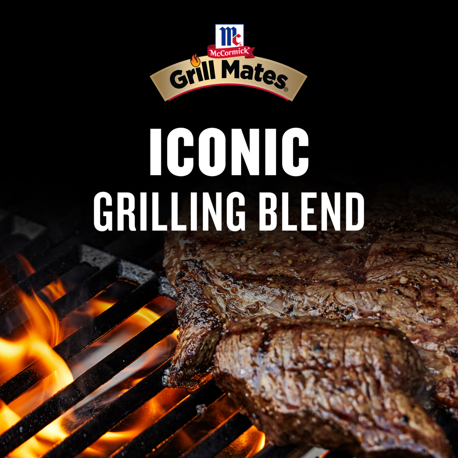 slide 4 of 5, McCormick Grill Mates Marinade Mix - Brazilian Steakhouse, 1.06 oz, 1.06 oz