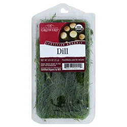 Organic Dill - 0.75oz Package
