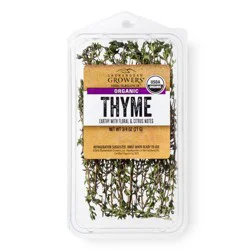 Organic Thyme - 0.75oz Package