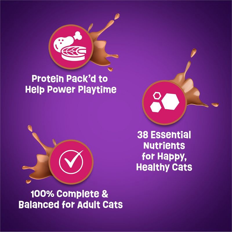 slide 11 of 14, Purina Friskies Gravy Swirlers with Flavors of Chicken, Salmon & Gravy Adult Complete & Balanced Dry Cat Food - 16lbs, 16 lb