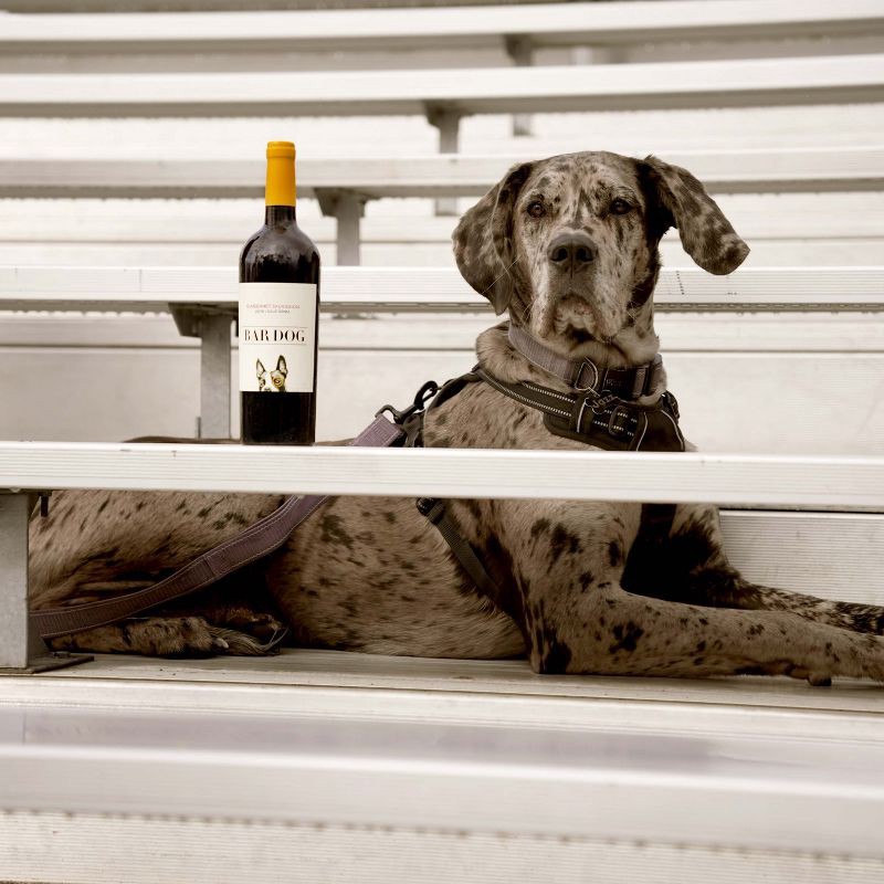 slide 3 of 6, Bar Dog Cabernet Sauvignon Red Wine - 750ml Bottle, 750 ml